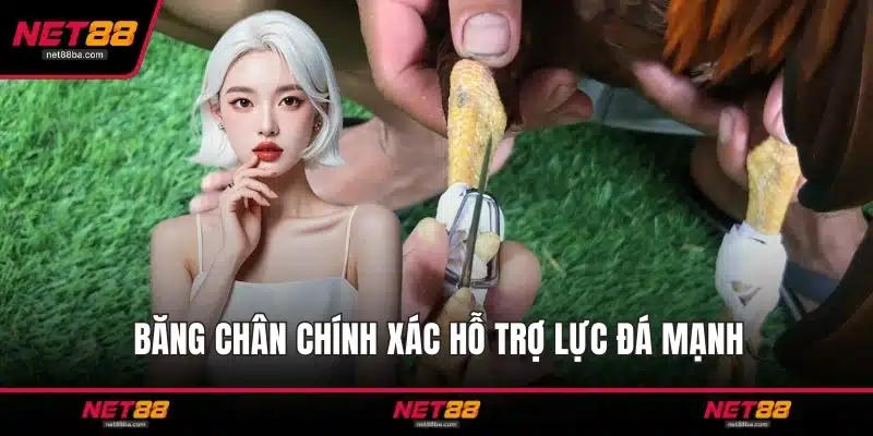 Băng chân chính xác hỗ trợ lực đá mạnh