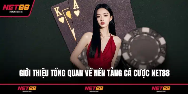 Giới thiệu tổng quan về nền tảng cá cược NET88