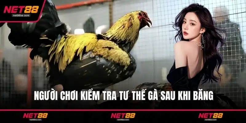 Người chơi kiểm tra tư thế gà sau khi băng