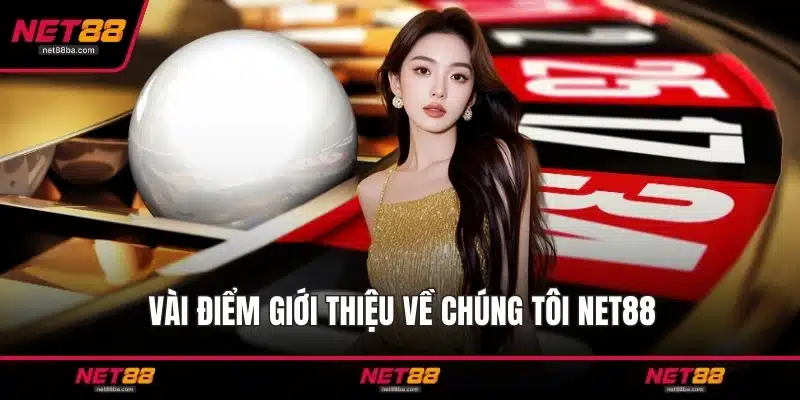 Vài điểm giới thiệu về chúng tôi NET88